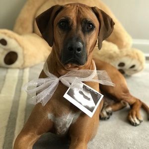 Meet your Posher, Mauricio